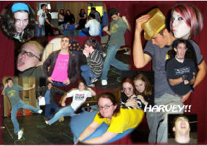 harveycollagefivebyseven.jpg